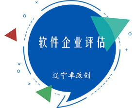 【双软评估】软件企业评估